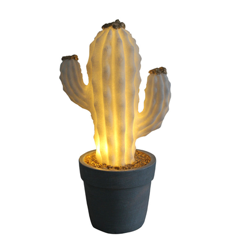 Cactus in vaso della scatola della batteria LED