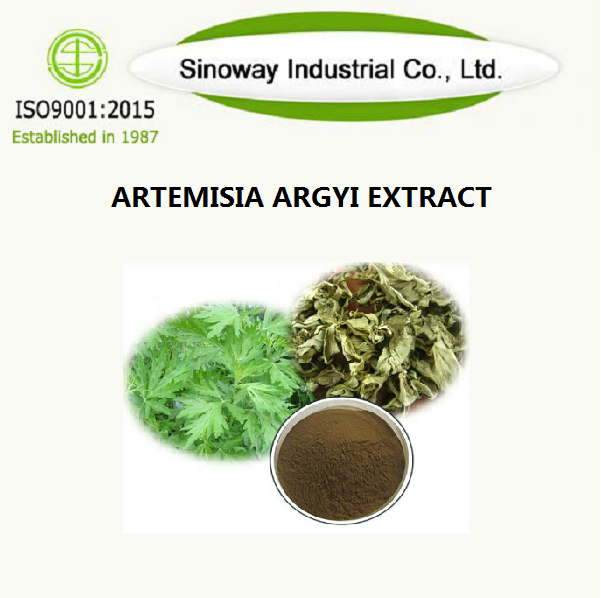 Artemisia Argyi Extract.