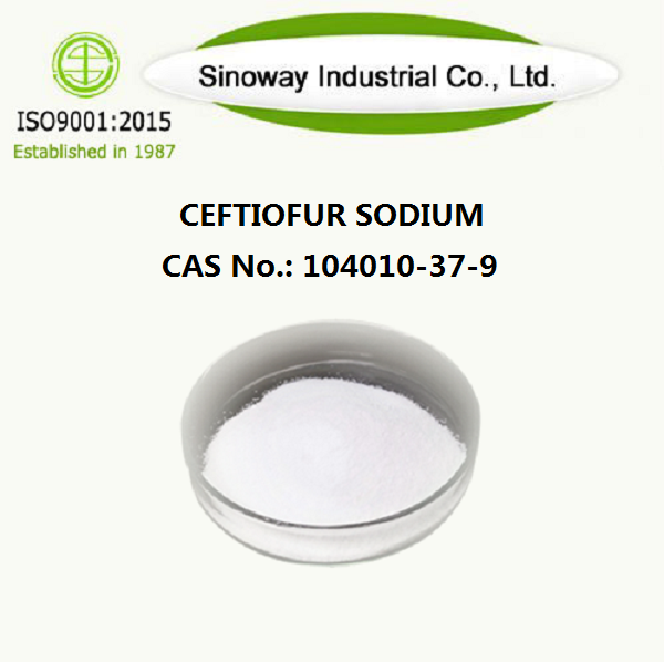 Ceftoofur sodio 104010-37-9.