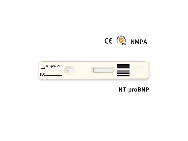 NT-PROBNP Test quantitativo rapido