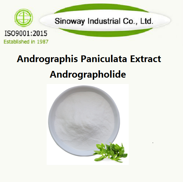 Estratto di Andrographis Paniculata / Andrographolide