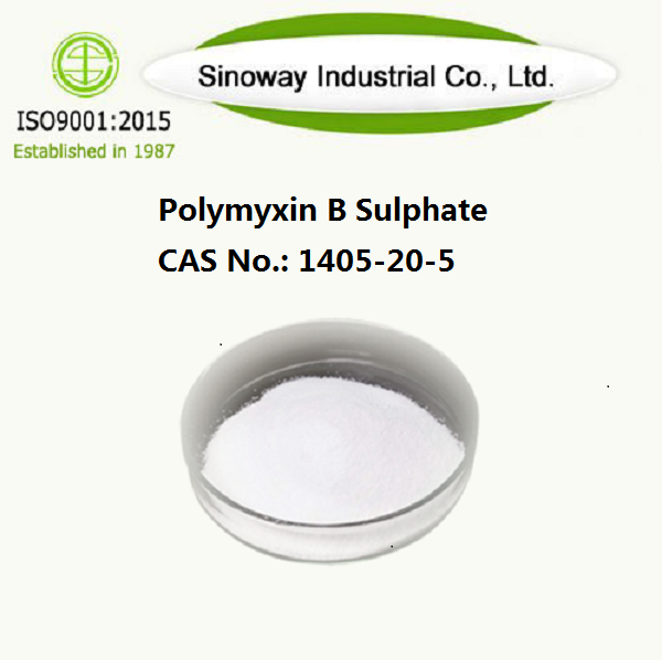 Polimixina B solfato 1405-20-5