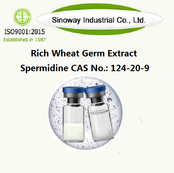 Estratto di germe di grano ricco di spermidina / Spermidina 124-20-9