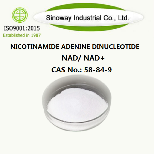 Nicotinamide Adenina Dinucleotide NAD 53-84-9
