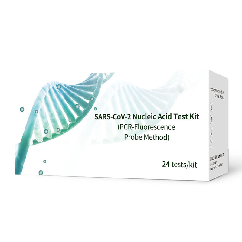 Kit per il test dell'acido nucleico SARS-CoV-2 (metodo con sonda PCR-fluorescenza)