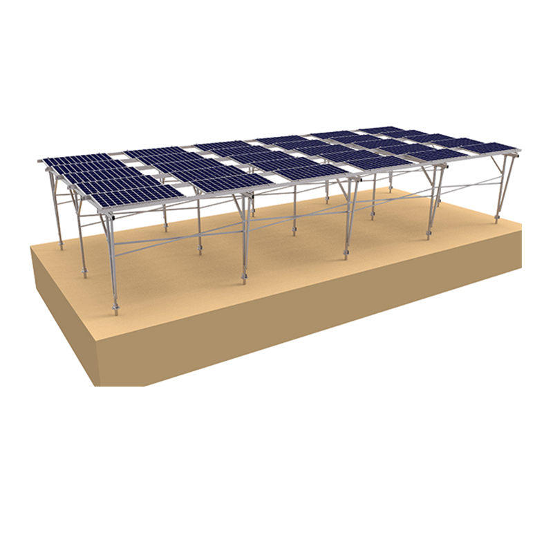 Commercio all'ingrosso che combina il sistema di pannelli solari con l'agricoltura