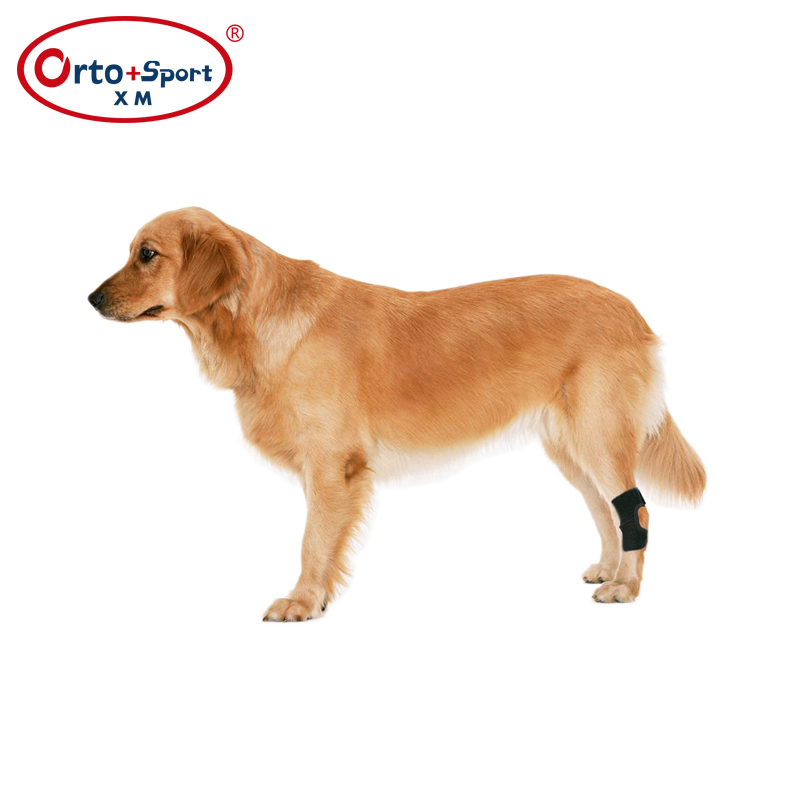 Tutore per cani con articolazione del garretto posteriore