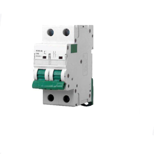 Mini interruttori automatici DC elettrici di alta qualità a doppio polo singolo 1P 2P 3P 4P 40-125A 1A 2A 3A 4A trifase MCB